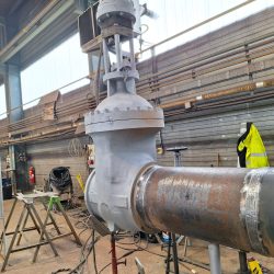 WhatsApp Image 2024-10-01 at 15.18.03